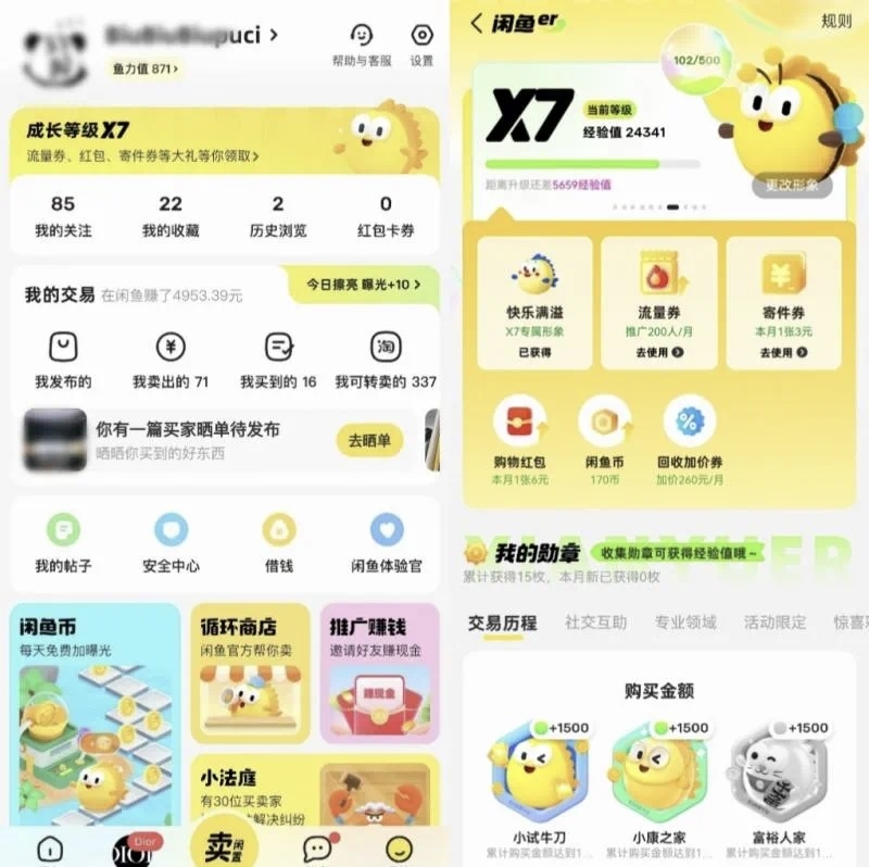 闲鱼灰度测试“会员体系…#情报-搞钱线报📢论坛-网创交流-优创圈